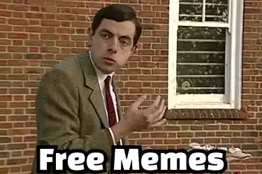 Fee Meme